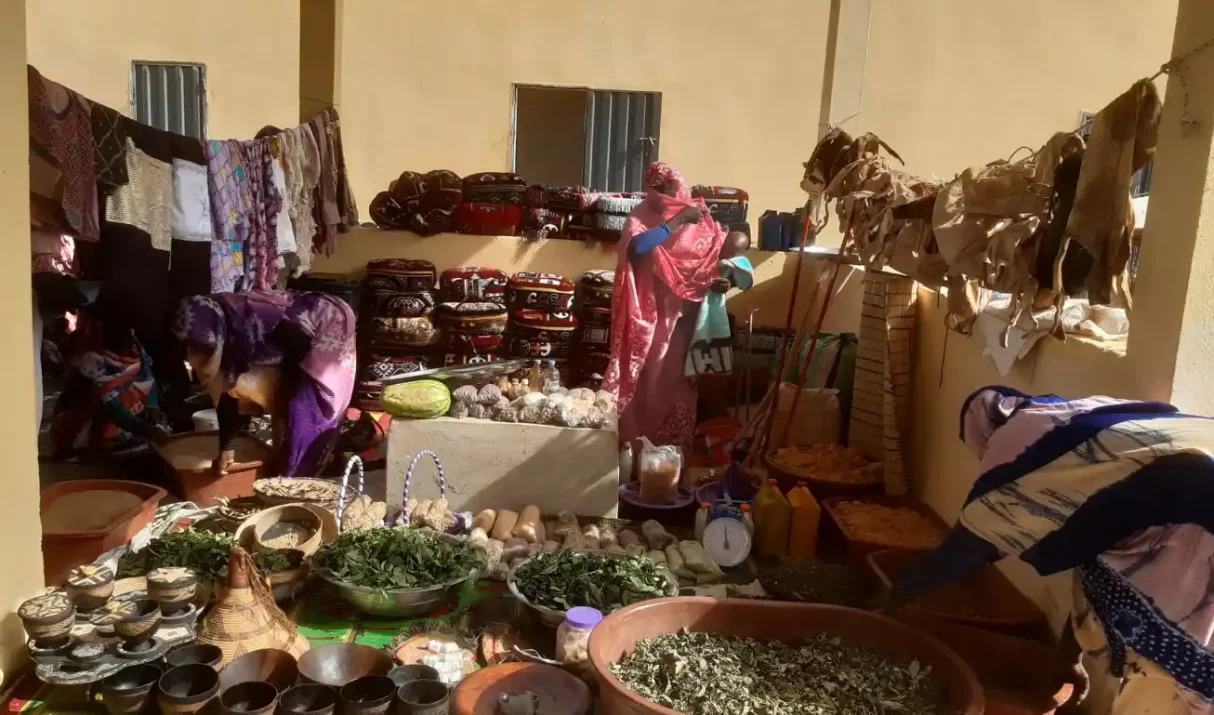 Cérémonie d’inauguration et d’exposition des PFNL