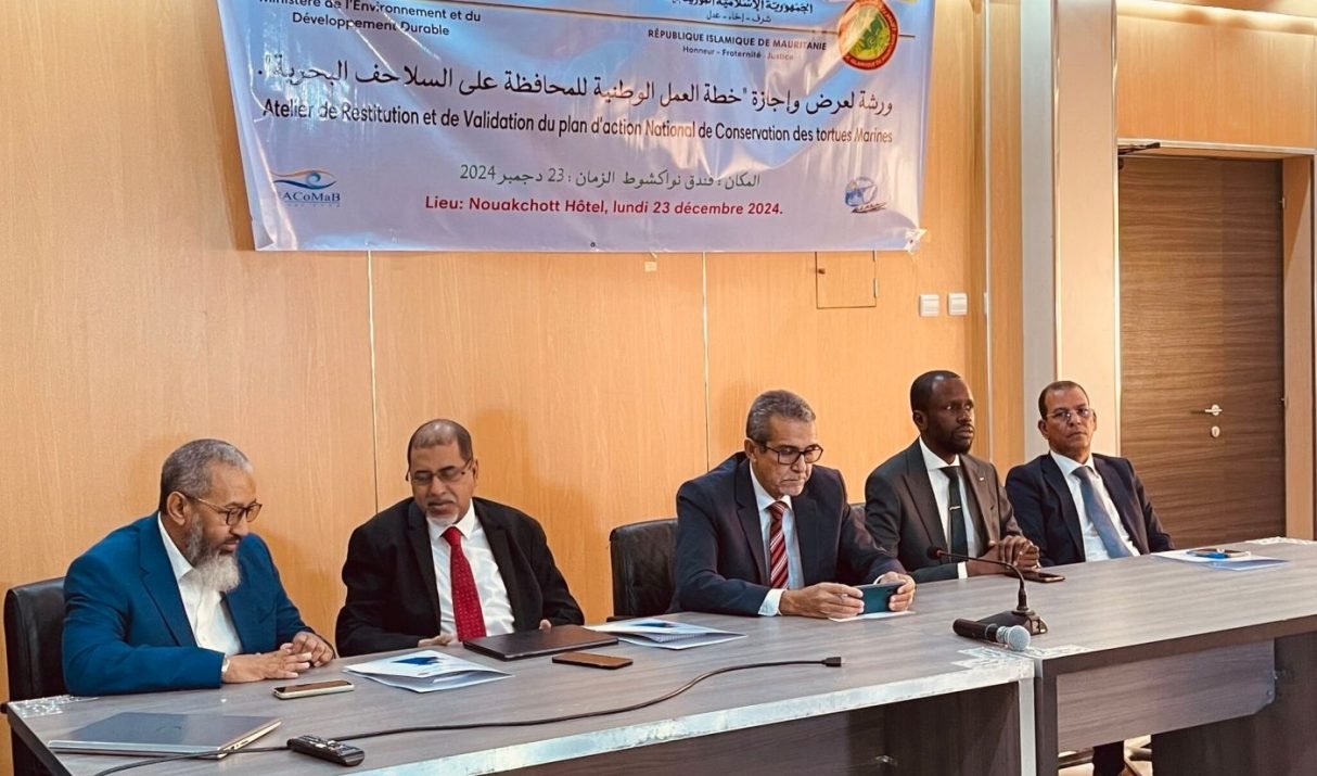 Atelier de restitution et de validation du Plan d’Action National pour la Conservation des Tortues Marines 