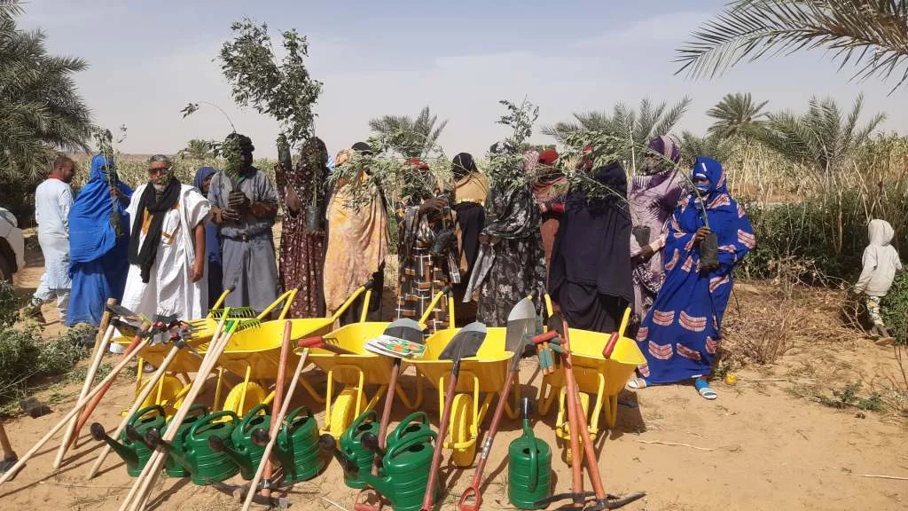 Capacity building activities