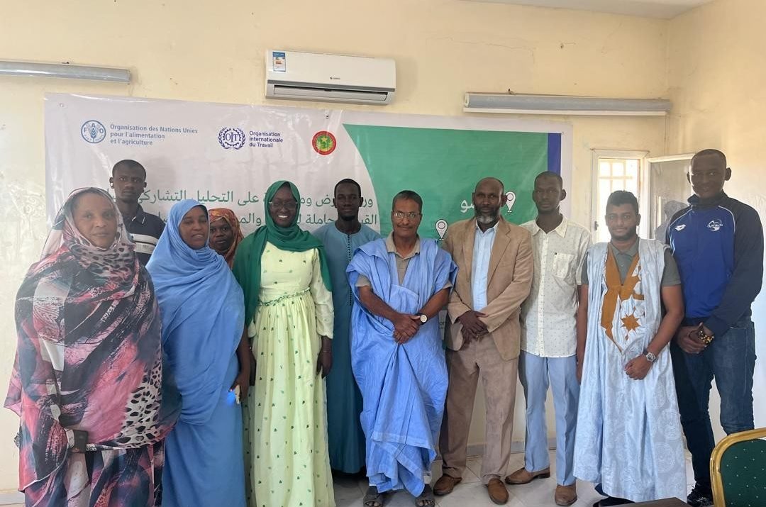 Protocole d’accord FAO-Nafore, Renforcement de la paix et de la résilience socio-économique