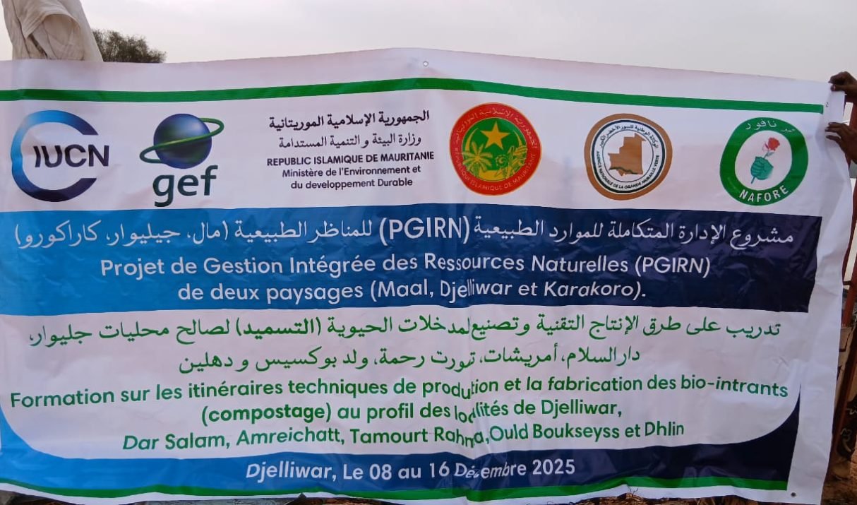 Du 08 au 16 décembre 2025, l’Association NAFORE pour la protection de l’environnement a organisé, des sessions de formation