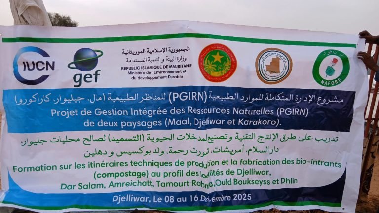 Du 08 au 16 décembre 2025, l’Association NAFORE pour la protection de l’environnement a organisé, des sessions de formation